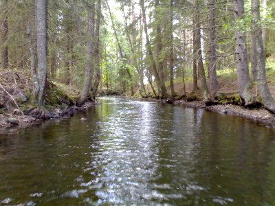 Laskujoki Nummijärvestä Sikajärveen