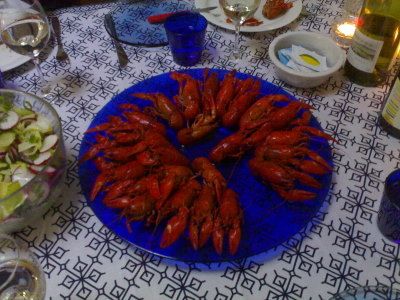 Rapuja