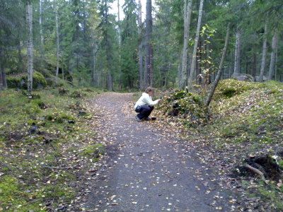 Sieniä kuvataan