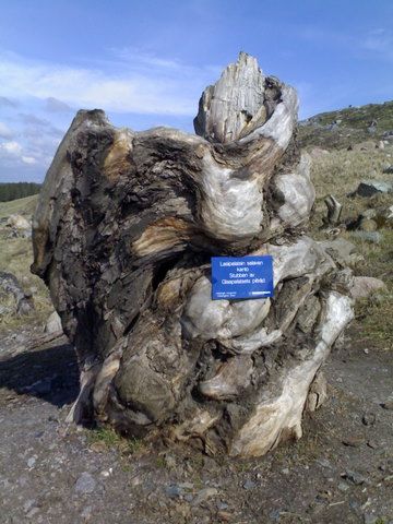 Lasipalatsin salava Lasipalatsin salava
