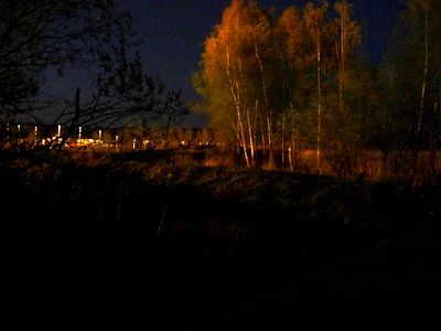 Sähkövalo loimuttaa puut entisen puhdistamon reunalla