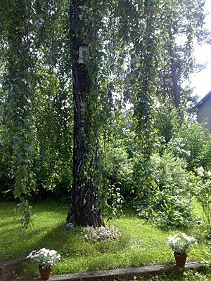 Juhannus kaupungissa 2009