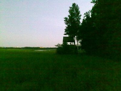 Villa Elfvikin lintutorni