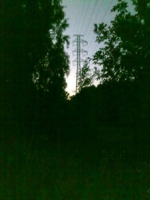 Viitakerttunen Laajalahden länsiosassa