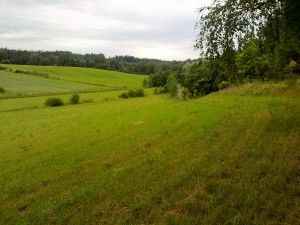Kesäpeltoa Kesäpeltoa