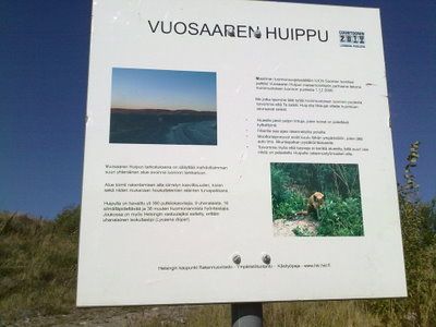 Vuosaaren huippu