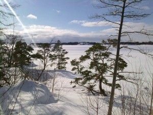 Skatanniemi