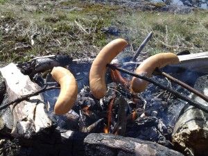 Evästä Evästä