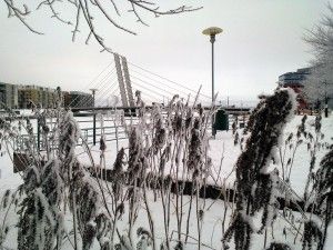 Ruoholahti - viikko-4-2013