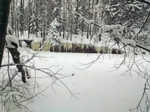 Kalliomaalaus - viikko-6-2013