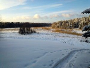 Aurinko paistaa - viikko-7-2013